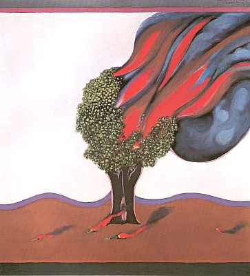 Brenneder Baum 1969